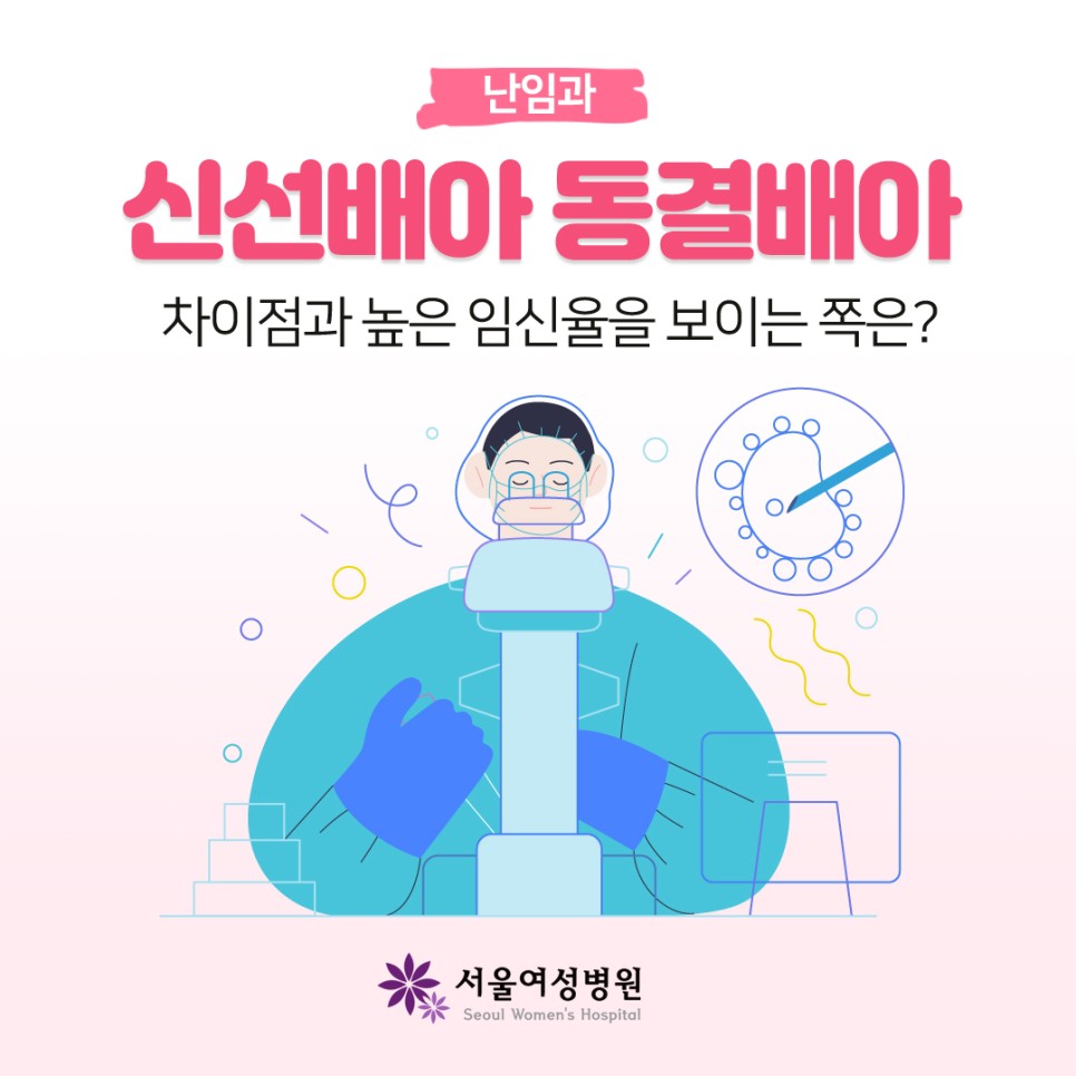 신선배아vs동결배아, 차이점과 높은 임신성공률을 보이는 쪽은?