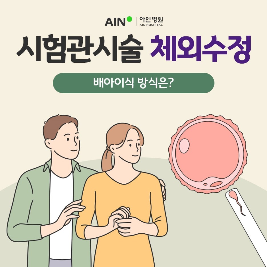 인천시험관시술 체외수정 배아이식 방식은 어떻게 되나요?